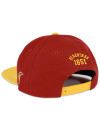 DISTRICT OF COLUMBIA SNAPBACK CAP