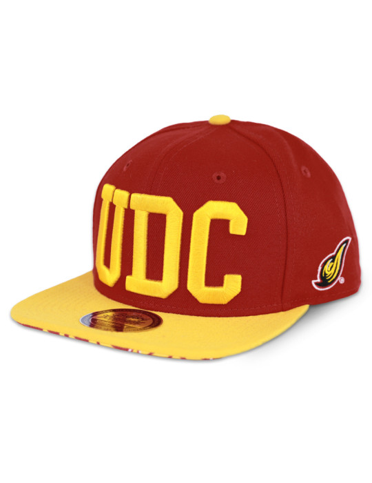 DISTRICT OF COLUMBIA SNAPBACK CAP