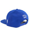 FAYETTEVILLE STATE SNAPBACK CAP