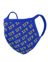 SGR PRINTED FACE MASK w/ FILTER POCKET