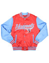 DELAWARE STATE BASEBALL JACKET