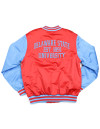 DELAWARE STATE BASEBALL JACKET