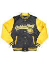 ARKANSAS PINE BLUFF BASEBALL JACKET