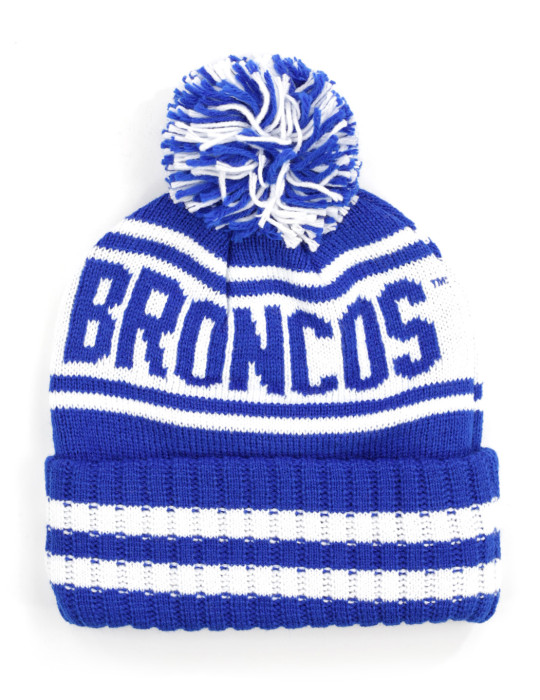 FAYETTEVILLE STATE BEANIE
