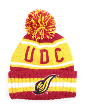  DISTRICT OF COLUMBIA BEANIE