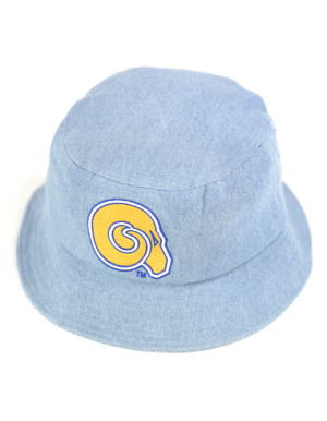 ALBANY STATE BUCKET