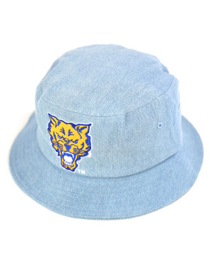 FORT VALLEY STATE BUCKET