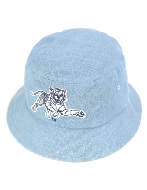 JACKSON STATE BUCKET