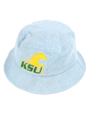KENTUCKY STATE BUCKET