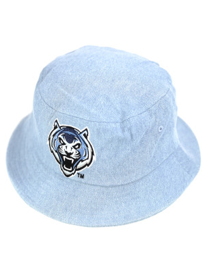 LINCOLN UNIVERSITY BUCKET