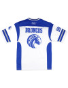 FAYETTEVILLE STATE FOOTBALL JERSEY