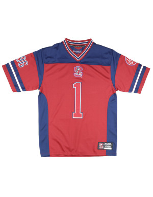 SOUTH CAROLINA STATE FOOTBALL JERSEY