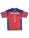 SOUTH CAROLINA STATE FOOTBALL JERSEY
