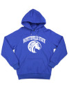 FAYETTEVILLE STATE HOODIE