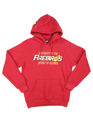 DISTRICT OF COLUMBIA HOODIE