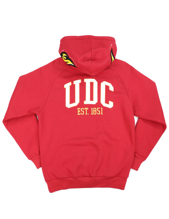 DISTRICT OF COLUMBIA HOODIE