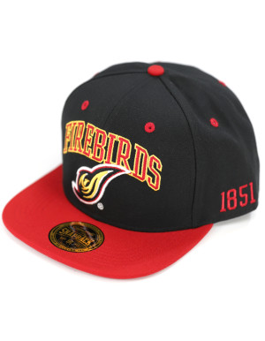 DISTRICT OF COLUMBIA SNAPBACK CAP