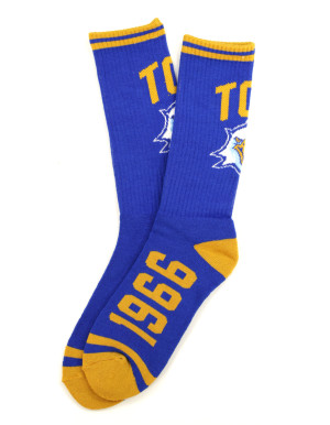 TALLAHASSEE COMMUNITY SOCKS