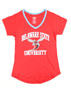 DELAWARE STATE V-NECK TEE