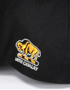 BUFFALO SOLDIERS BALL CAP