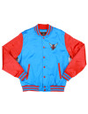 DELAWARE STATE BASEBALL JACKET