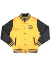 ARKANSAS PINE BLUFF BASEBALL JACKET