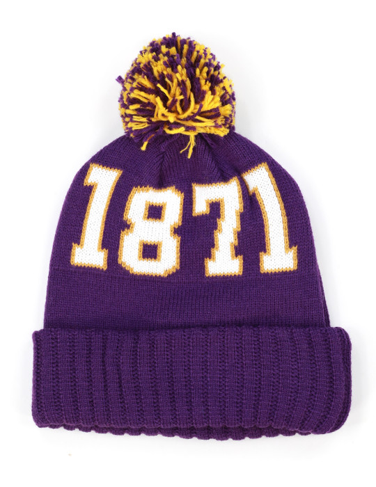 ALCORN STATE BEANIE