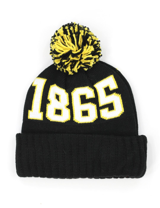 BOWIE STATE BEANIE
