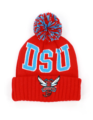 DELAWARE STATE BEANIE