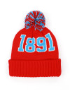 DELAWARE STATE BEANIE