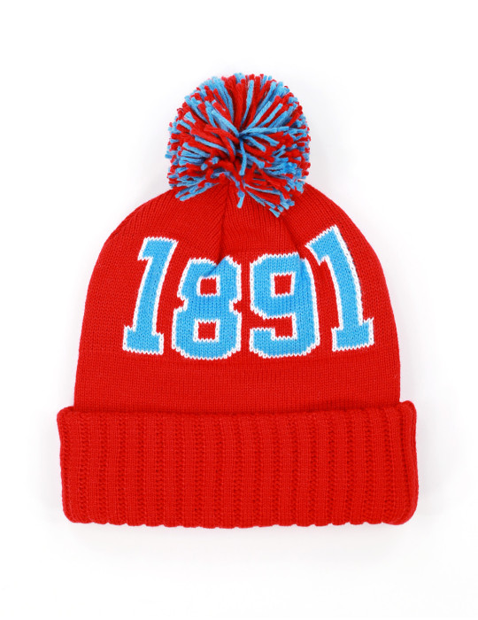 DELAWARE STATE BEANIE