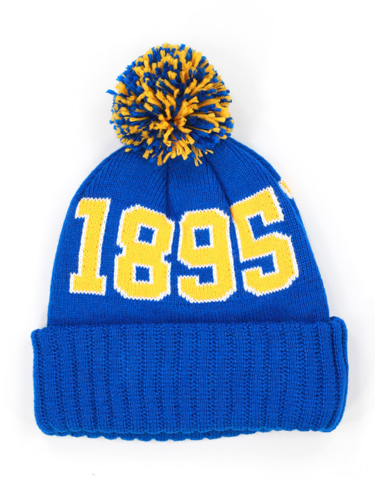 FORT VALLEY STATE BEANIE