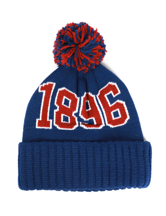 SOUTH CAROLINA STATE BEANIE