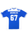 FAYETTEVILLE STATE FOOTBALL JERSEY