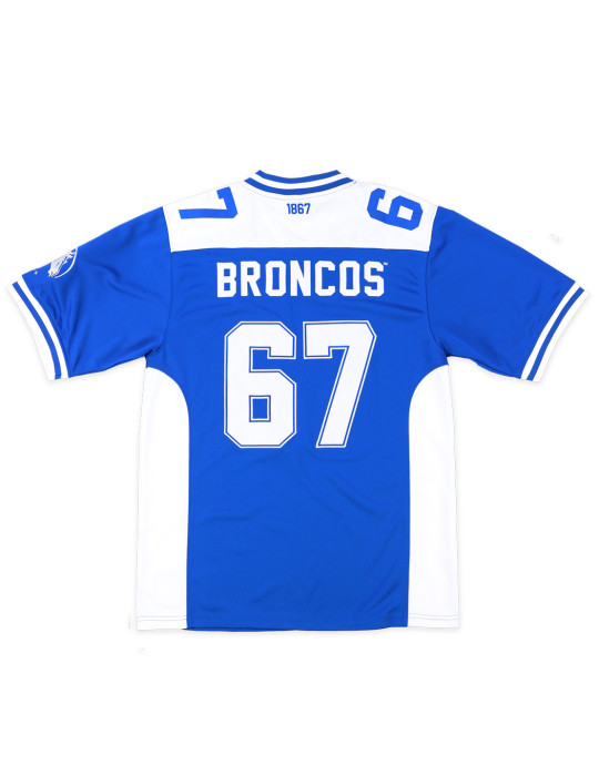 FAYETTEVILLE STATE FOOTBALL JERSEY