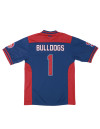 SOUTH CAROLINA STATE FOOTBALL JERSEY
