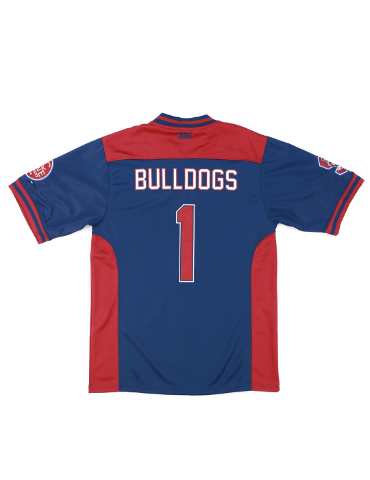 SOUTH CAROLINA STATE FOOTBALL JERSEY