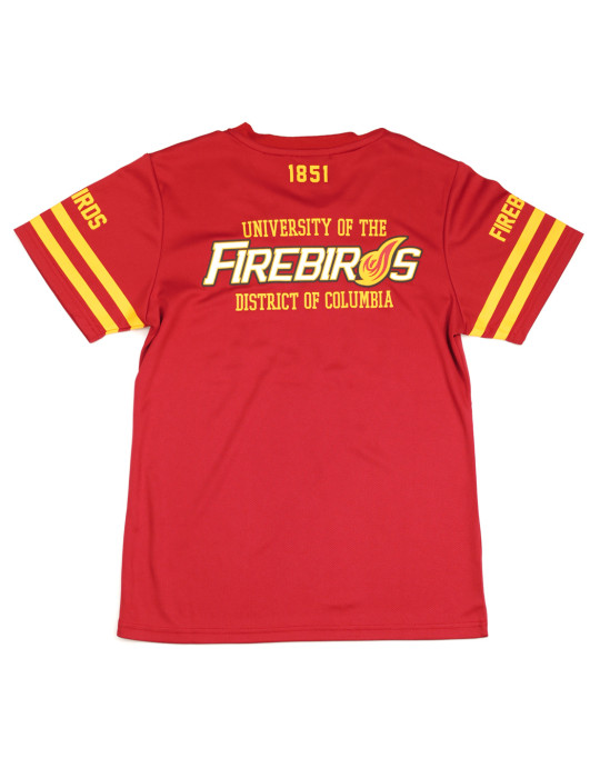WOMEN'S DISTRICT OF COLUMBIA FOOTBALL JERSEY TEE