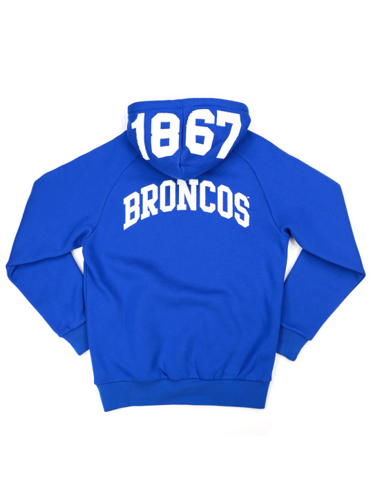 FAYETTEVILLE STATE HOODIE