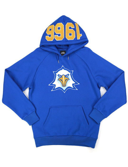 TALLAHASSEE STATE HOODIE
