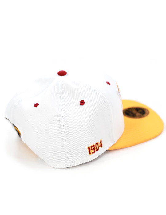 BETHUNE COOKMAN SNAPBACK CAP