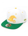 KENTUCKY STATE SNAPBACK CAP