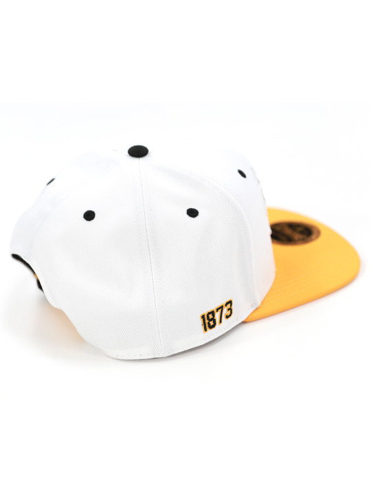 ARKANSAS PINE BLUFF SNAPBACK CAP