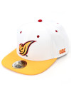 DISTRICT OF COLUMBIA SNAPBACK CAP