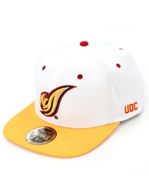 DISTRICT OF COLUMBIA SNAPBACK CAP