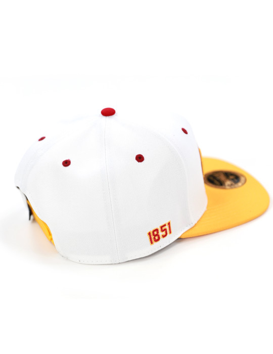 DISTRICT OF COLUMBIA SNAPBACK CAP