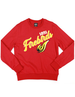 DISTRICT OF COLUMBIA SWEATSHIRT