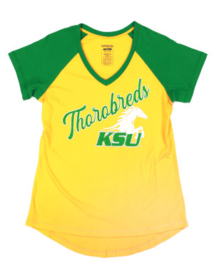 KENTUCKY STATE V-NECK TEE