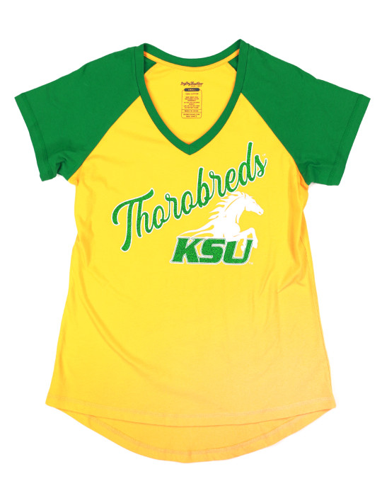 KENTUCKY STATE V-NECK TEE