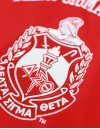 DST FOOTBALL JERSEY_RED